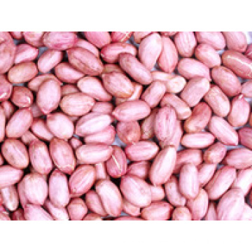 New Crop High Quality Red Skin Peanut Kernels (24/28, 28/32)